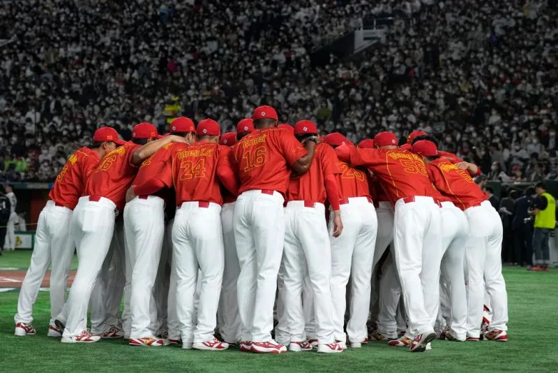 1678405916431 d0c171a44bb04e16b7c4ec9bb4525b2f 800x534 1