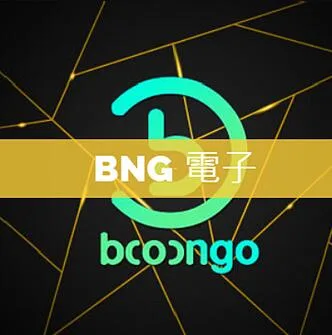 BNG電子